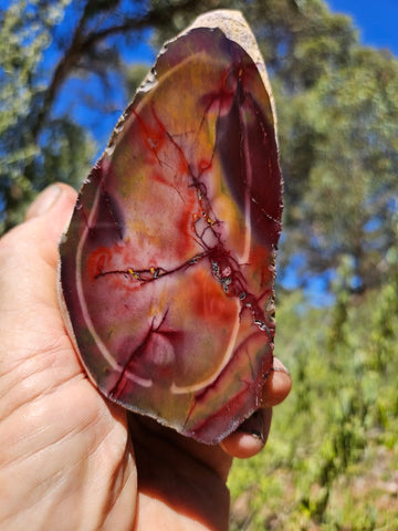 Polished  Mookaite  MK581