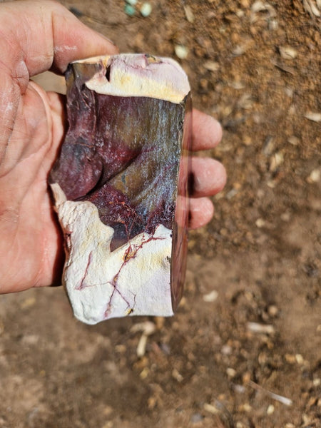 Polished  Mookaite  MK581