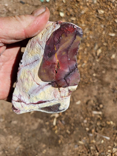 Polished  Mookaite  MK581