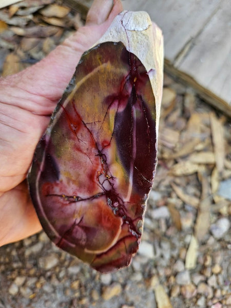 Polished  Mookaite  MK581