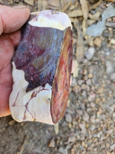 Polished  Mookaite  MK581