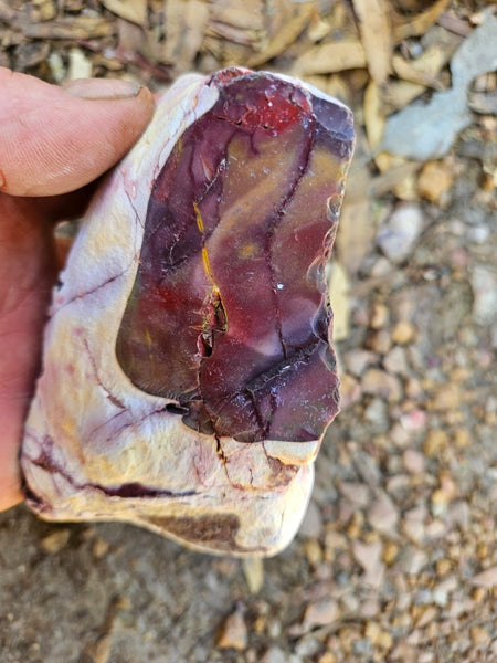 Polished  Mookaite  MK581