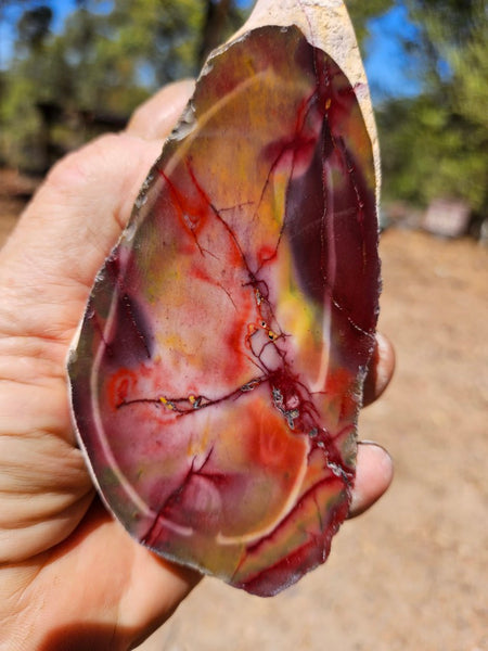 Polished  Mookaite  MK581