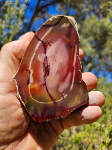 Polished  Mookaite  MK582