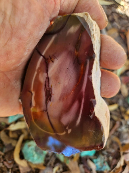 Polished  Mookaite  MK582