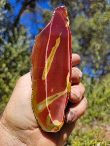 Polished  Mookaite  MK583