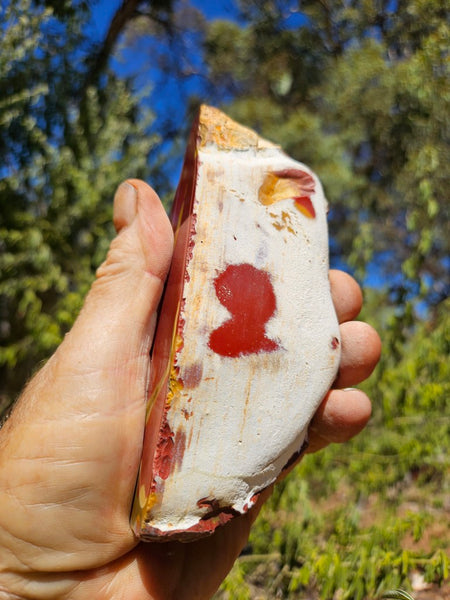 Polished  Mookaite  MK583