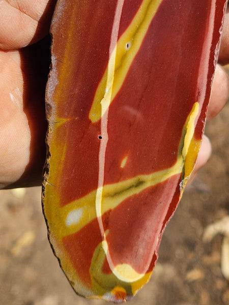 Polished  Mookaite  MK583