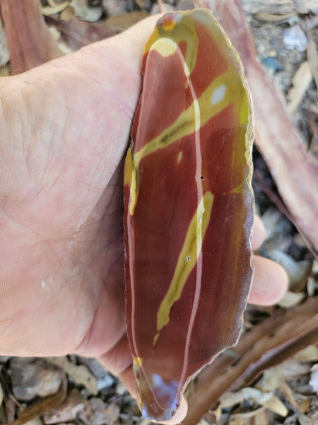 Polished  Mookaite  MK583
