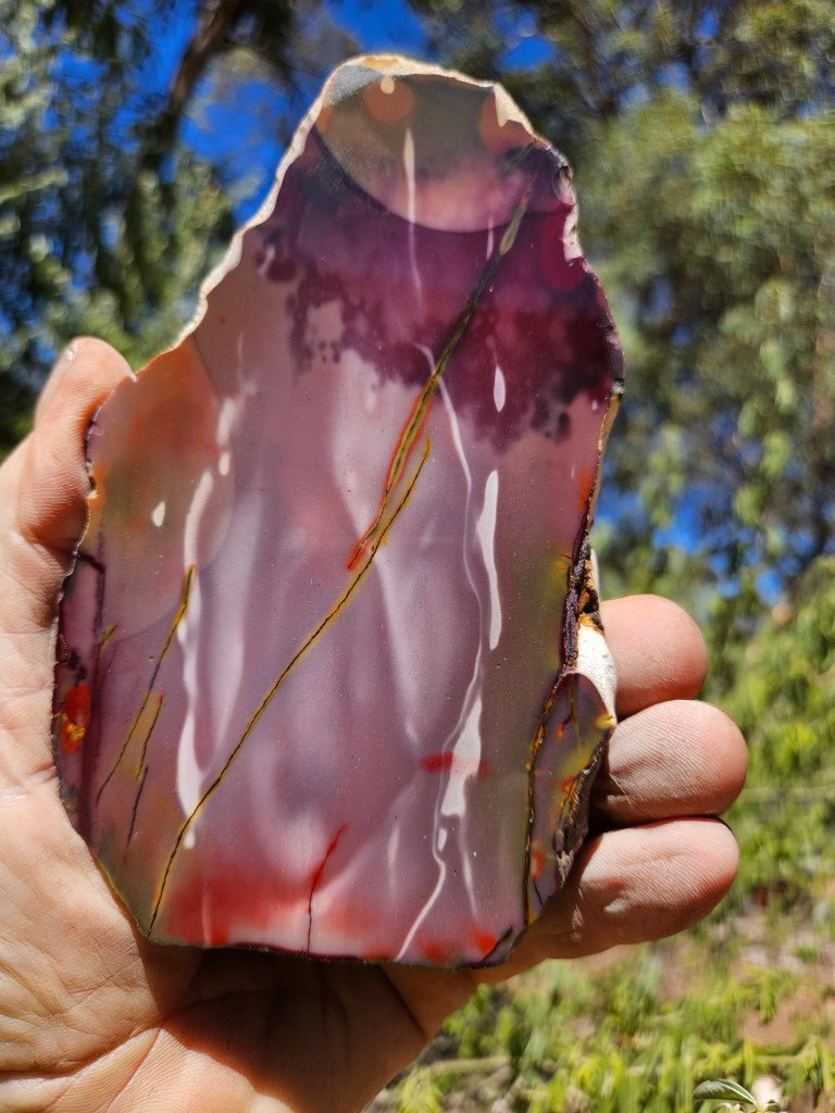 Polished  Mookaite  MK584