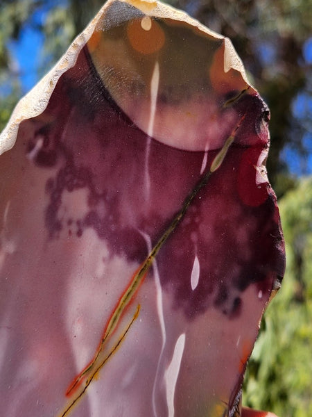 Polished  Mookaite  MK584