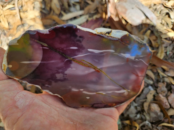 Polished  Mookaite  MK584