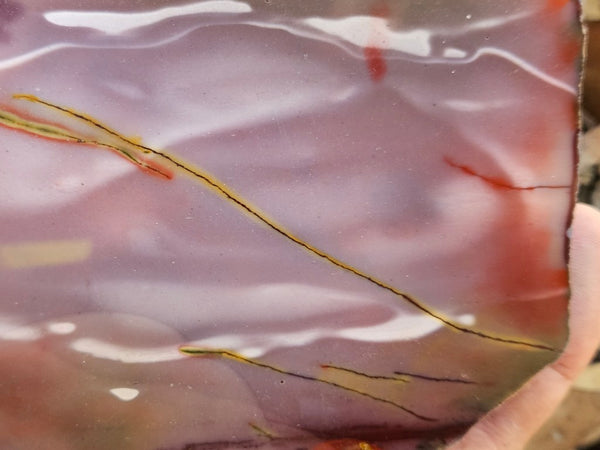 Polished  Mookaite  MK584
