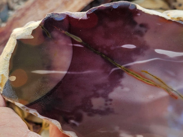 Polished  Mookaite  MK584