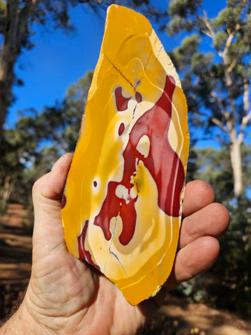 Polished  Mookaite slab MK585
