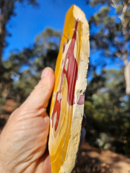Polished  Mookaite slab MK585