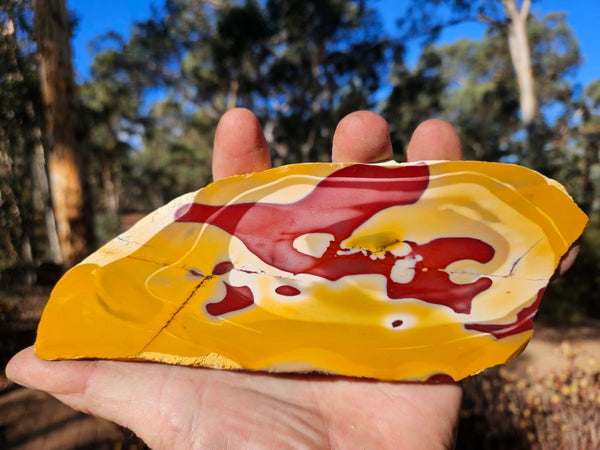 Polished  Mookaite slab MK585
