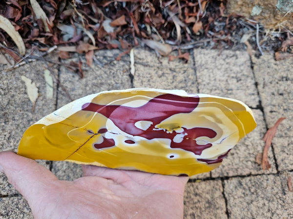 Polished  Mookaite slab MK585