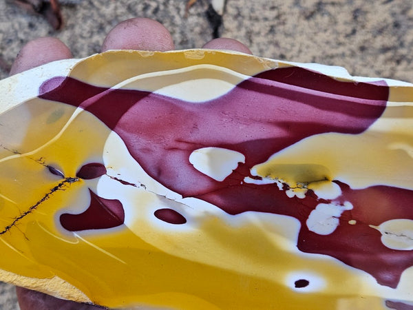 Polished  Mookaite slab MK585