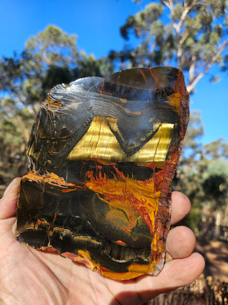 Polished Tiger Eye slab TE494