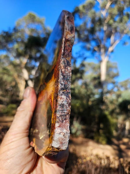 Polished Tiger Eye slab TE494