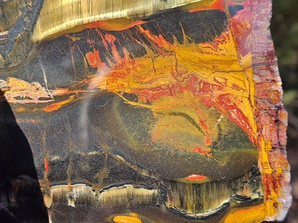 Polished Tiger Eye slab TE494