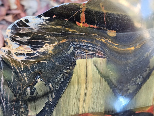 Polished Tiger Eye slab TE494