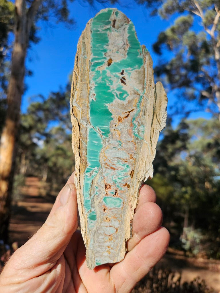Variscite Polished Slab.  VP 299