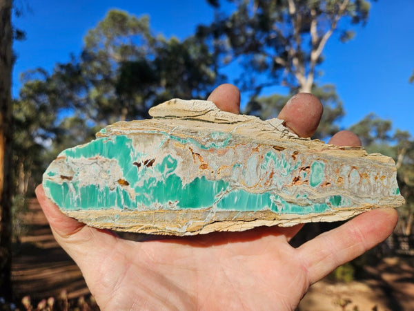 Variscite Polished Slab.  VP 299