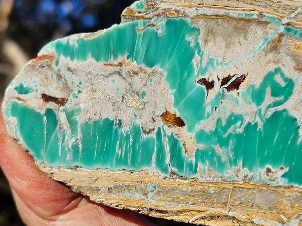 Variscite Polished Slab.  VP 299