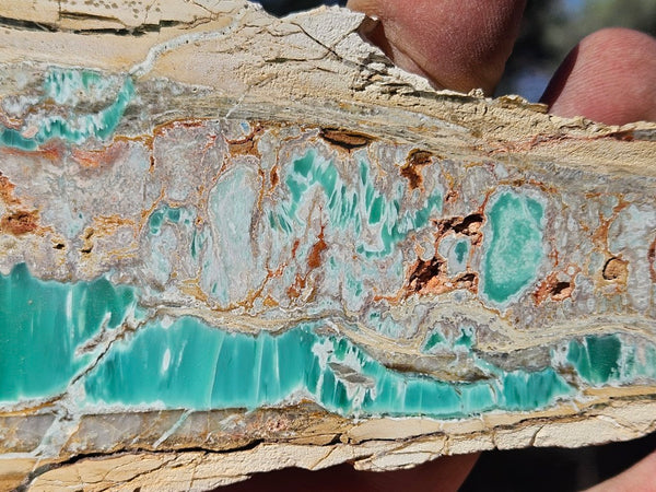 Variscite Polished Slab.  VP 299