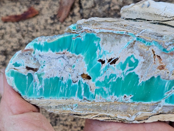 Variscite Polished Slab.  VP 299