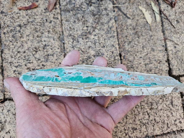 Variscite Polished Slab.  VP 299