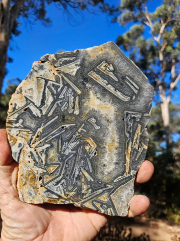 Polished Wyloo Agate slab WA164