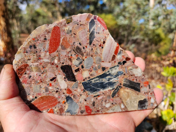 Polished Chert Breccia  CB120