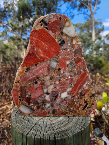 Polished Chert Breccia slab CB119
