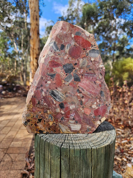 Polished Chert Breccia slab CB119