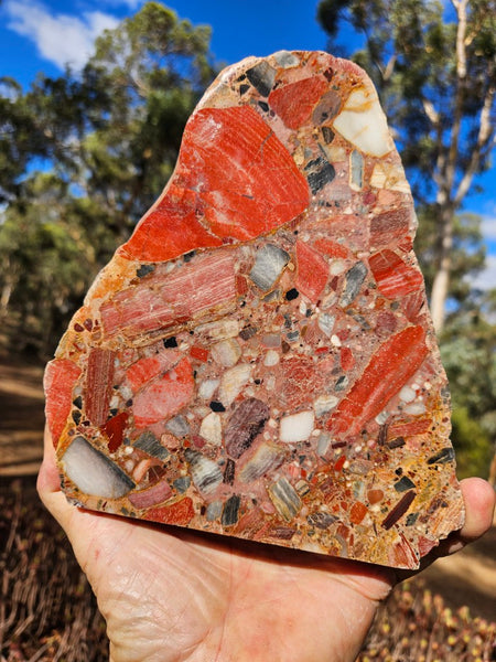 Polished Chert Breccia slab CB119