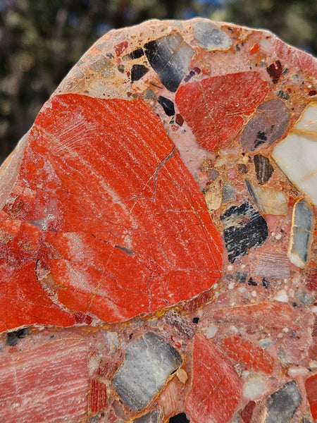Polished Chert Breccia slab CB119