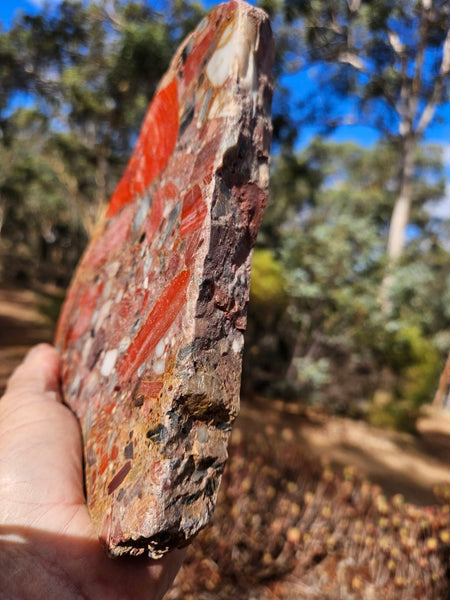 Polished Chert Breccia slab CB119