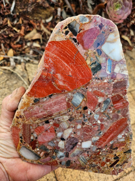 Polished Chert Breccia slab CB119