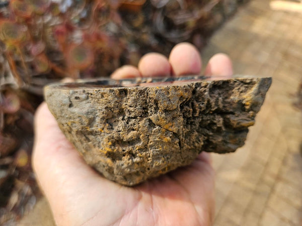 Hematite Geode  HEM148