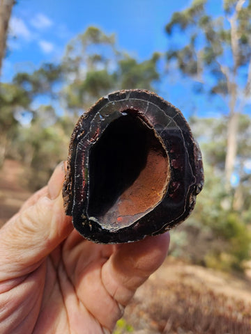 Hematite Geode  HEM149