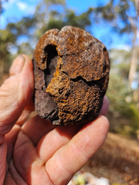 Hematite Geode  HEM149