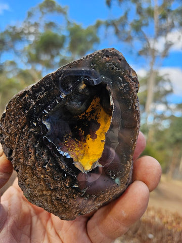 Hematite Geode  HEM150