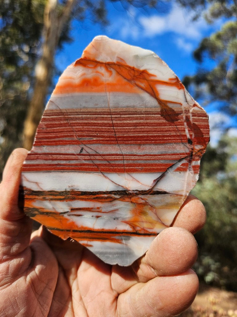 Polished Marble Bar Chert  slab MB113