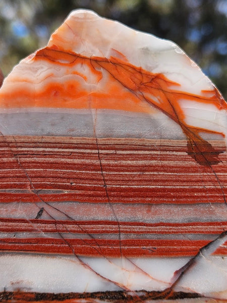 Polished Marble Bar Chert  slab MB113