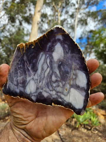 Purple Chalcedony polished slab. PU162