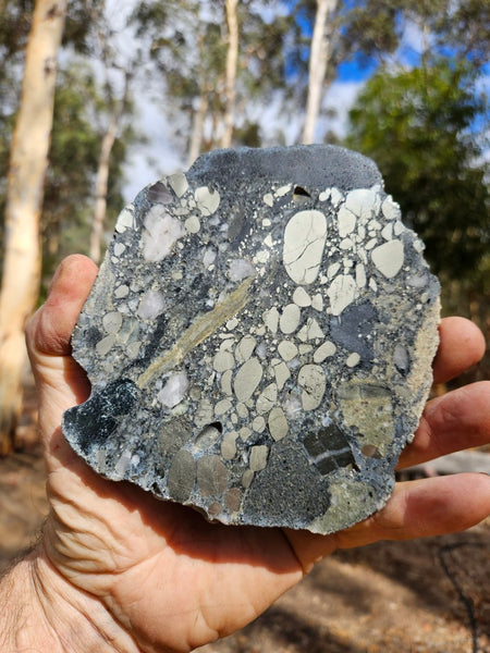 Polished Beaton's Creek auriferous conglomerate slab BC114