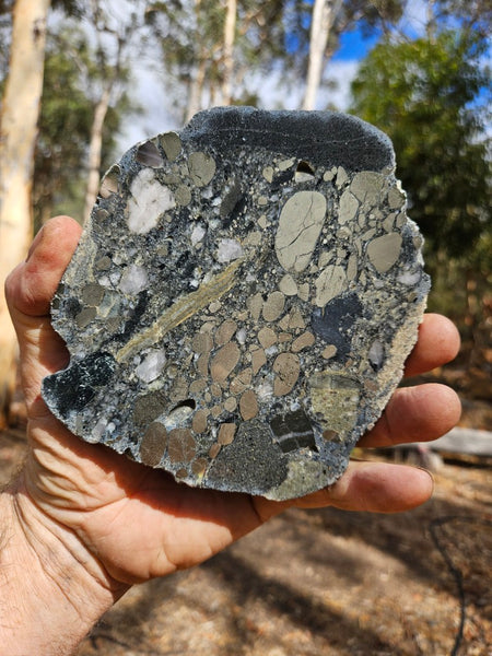 Polished Beaton's Creek auriferous conglomerate slab BC114